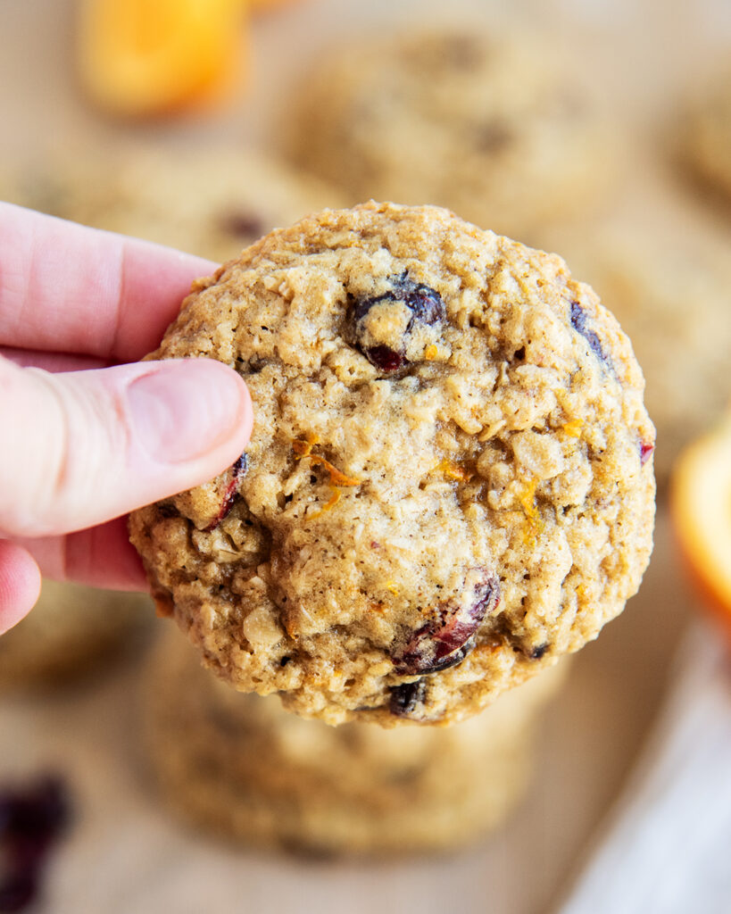 A hand holding an orange cranberry oatmeal cookie.