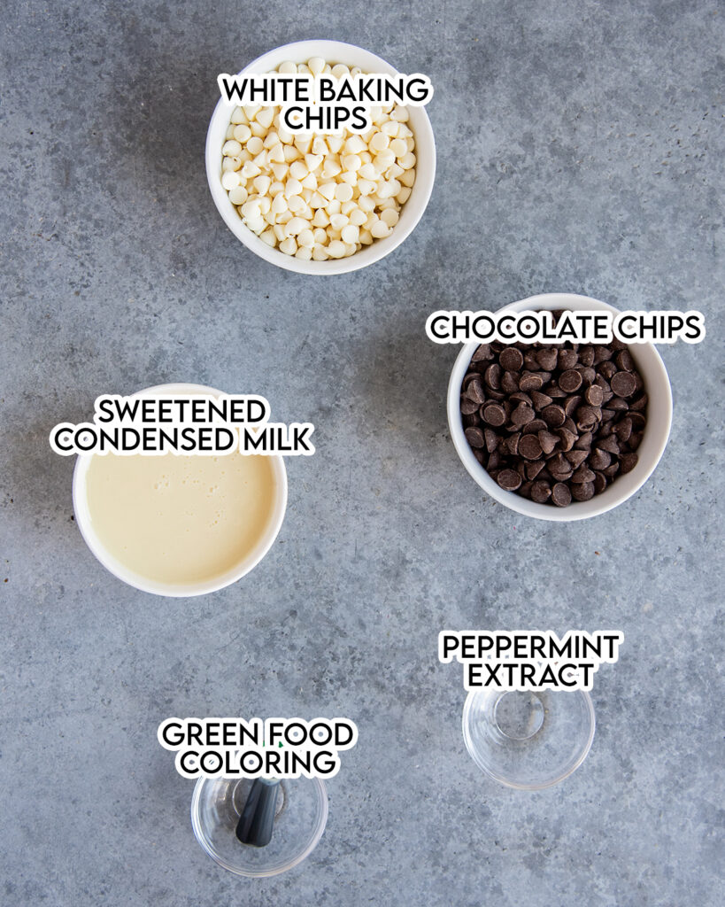 An overhead photo of the ingredients needed to make Mint Chocolate Fudge.