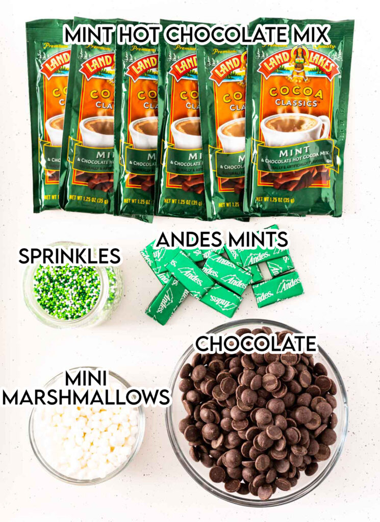 An overhead photo of the ingredients needed to make Mint Hot Chocolate Bombs