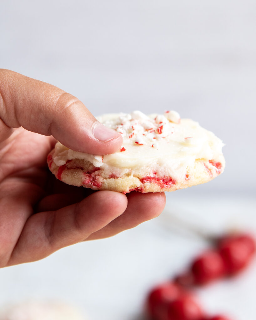 A hand holding a peppermint frosted sugar cookie, topped with peppermint candy pieces.