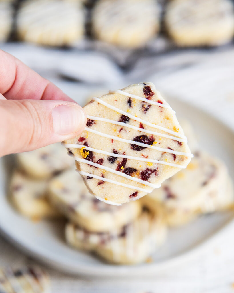 A hand holding a square cookie loaded with cranberry pieces and orange zest, and drizzled with white chocolate.