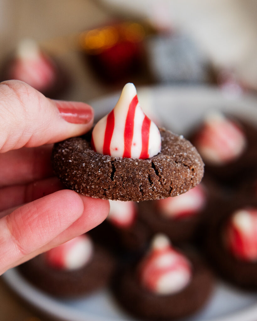 A hand holding a chocolate peppermint blossom cookie.