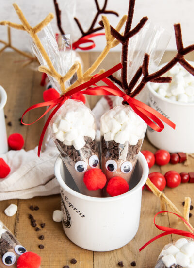 Two Reindeer Hot Chocolate packs in reindeer decorated bags sitting in a porcelain mug.