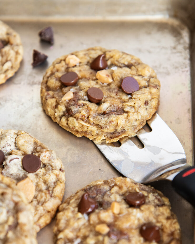 An Oatmeal Toffee cookie on a spatula.