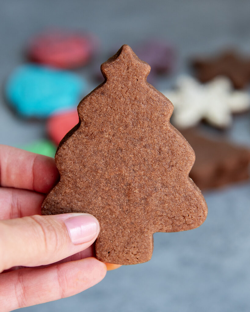 A hand holding a Christmas tree chocolate cut out cookie.