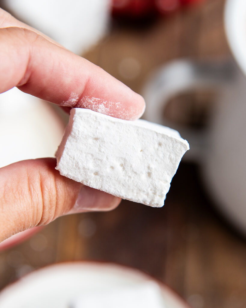A hand holding a homemade vanilla marshmallow.