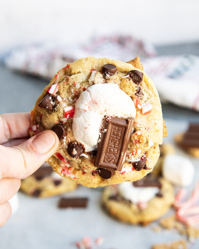 A hand holding a peppermint s'mores cookie topped with a marshmallow, candy cane pieces, and a hershey chocolate piece.