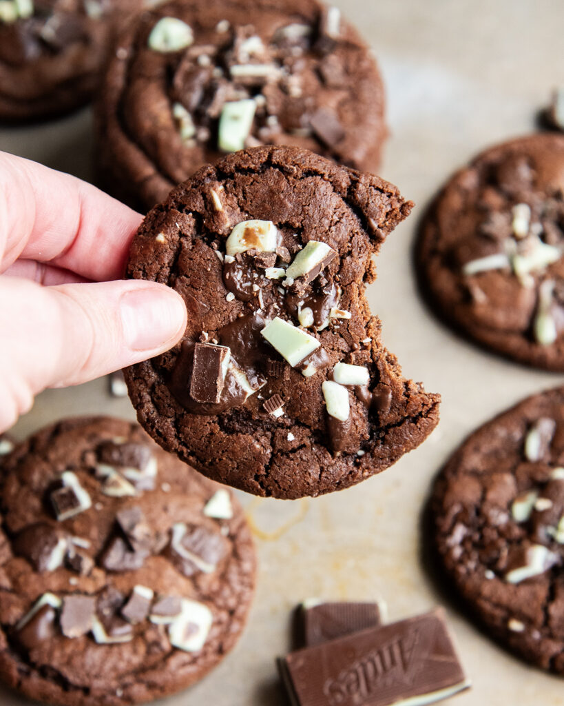 A hand holding a chocolate mint cookie with a bite out of it.