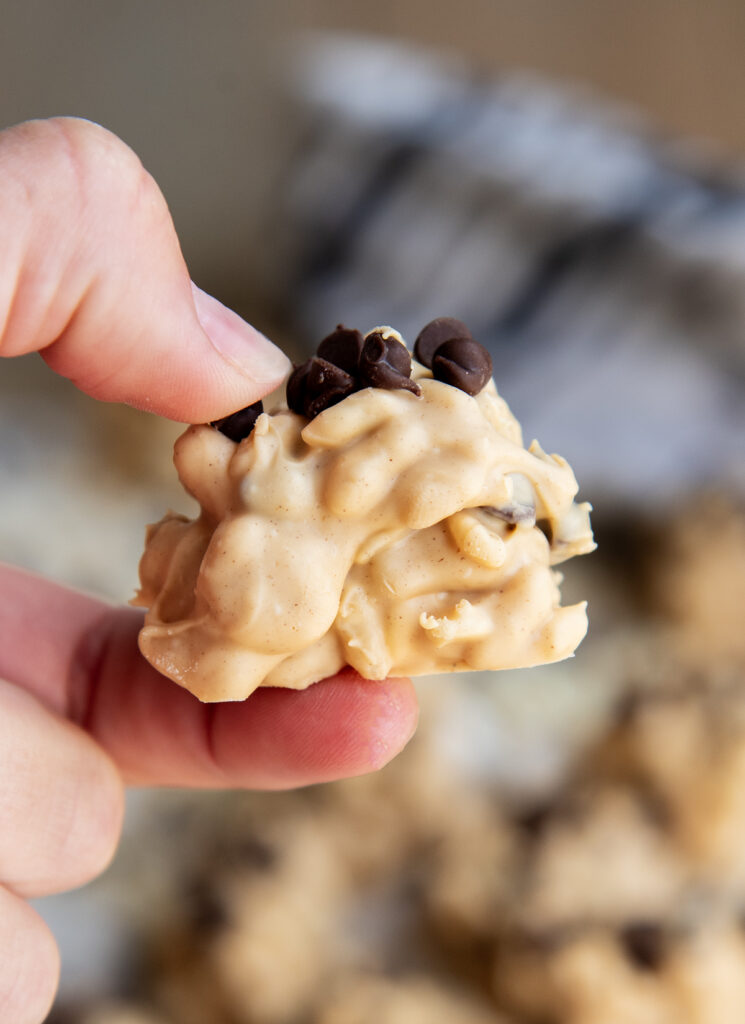 A hand holding an avalanche cookie with mini chocolate chips on top.