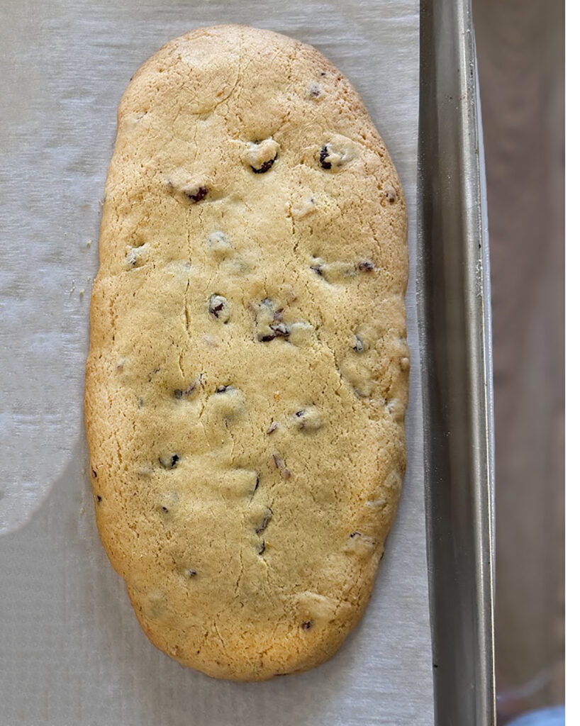 The first bake of a cranberry orange biscotti loaf on a baking pan.