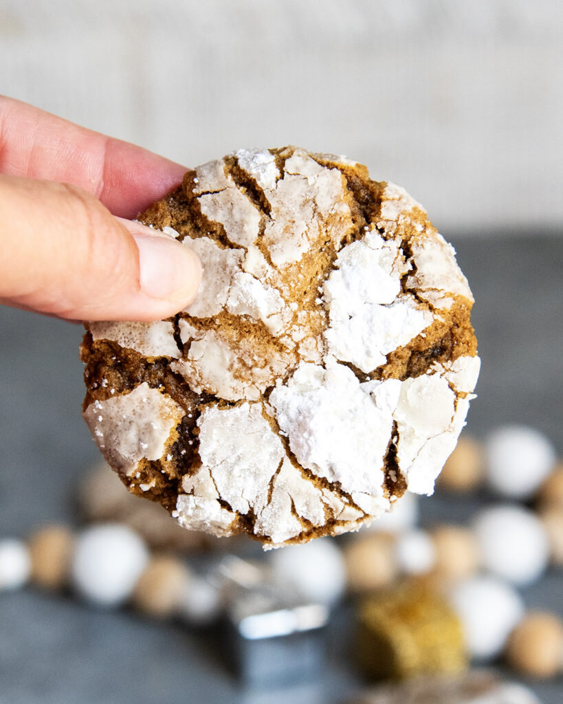 A hand holding a ginger molasses crinkle cookie.