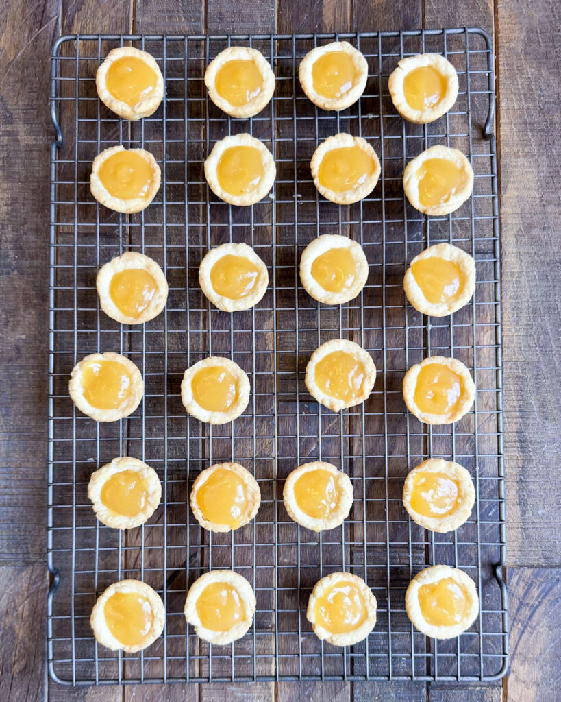 Tassie shells filled with lemon curd on a cooling rack.