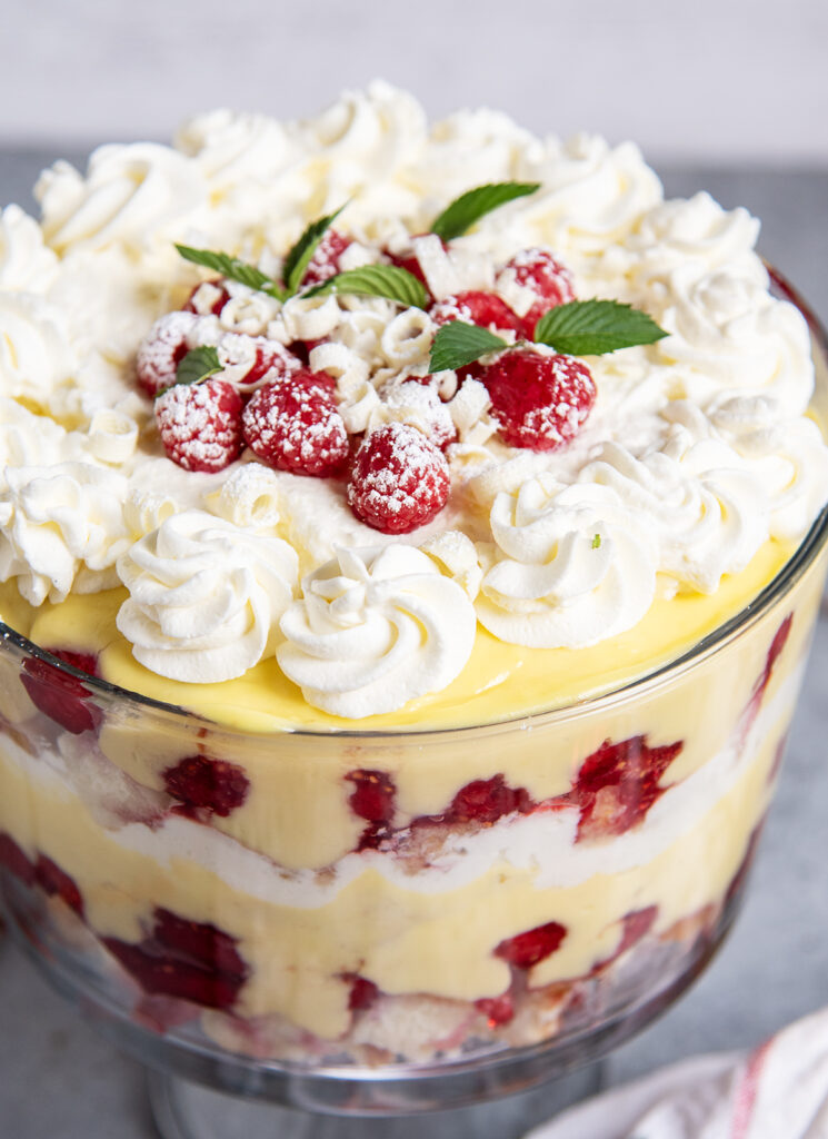 An above view of a trifle topped with whipped cream, and fresh raspberries and mint leaves.